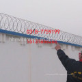 CBT65 razor wire safety concertina wire Stainless Steel Razor barbed Wire